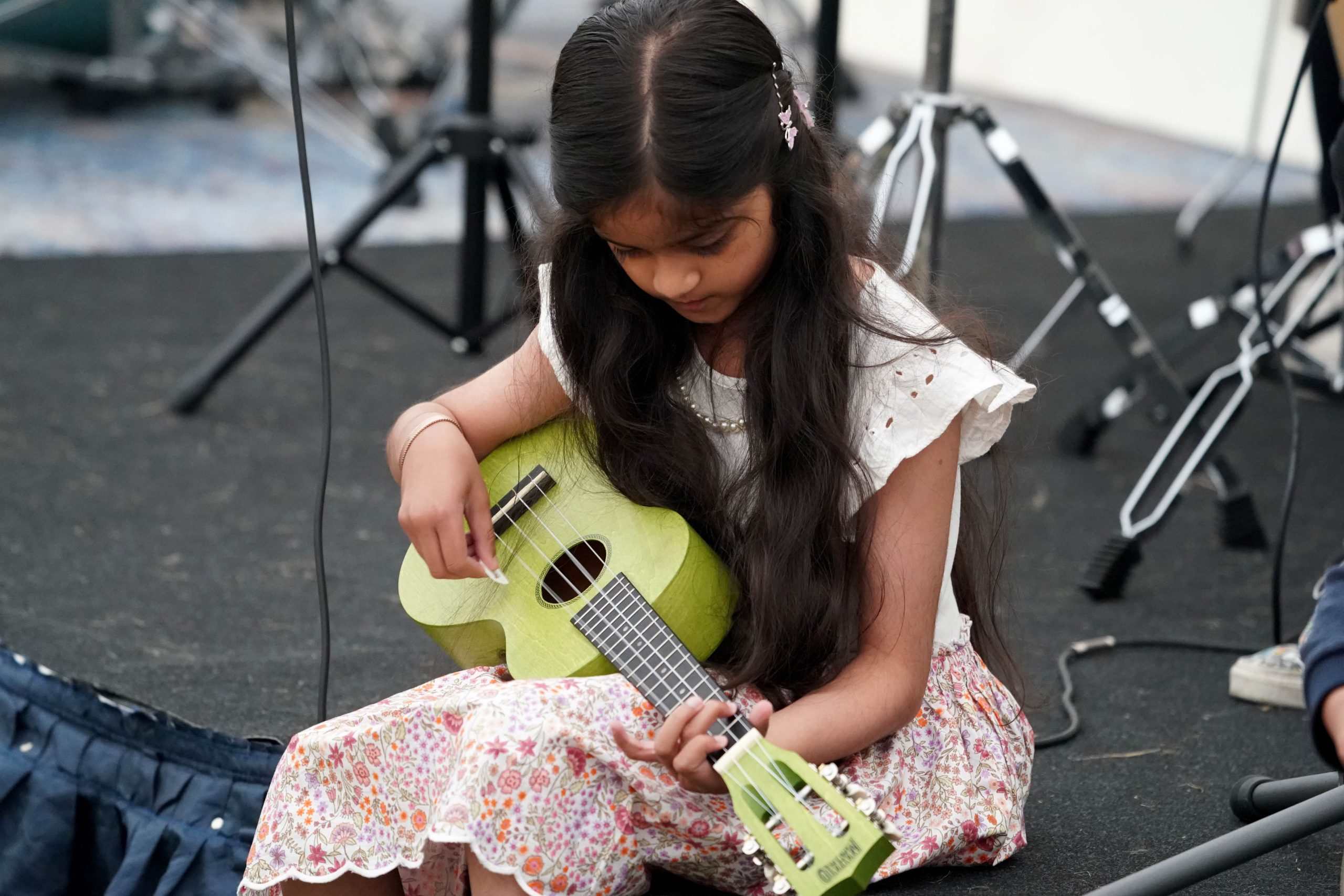 Ukulele Lessons at Lion Academy