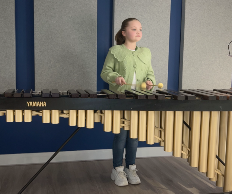 Mallet Percussion lessons at Lion Academy